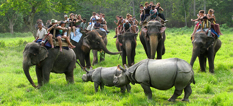 Chitwan Jungle Safari Tour