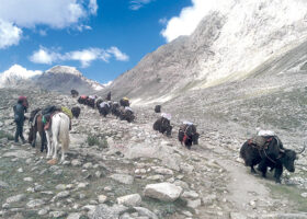 Lower Dolpo Trek