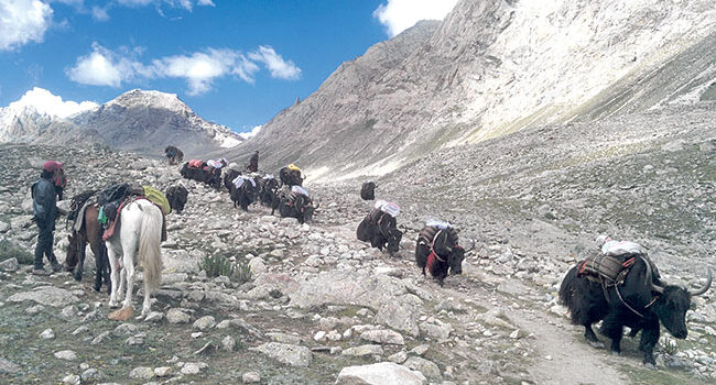 Lower Dolpo Trek