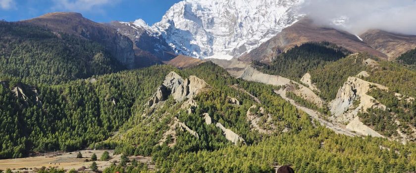 Manaslu,larkepas Trek Manaslu,larkepas Trek