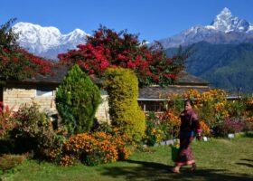 3 Days Dhampus Trek