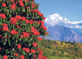 Annapurna Family Trekking