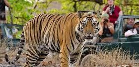 15 Day Classic India with Ranthambore