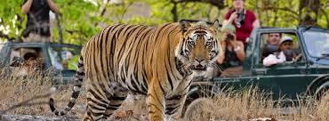 15 Day Classic India with Ranthambore